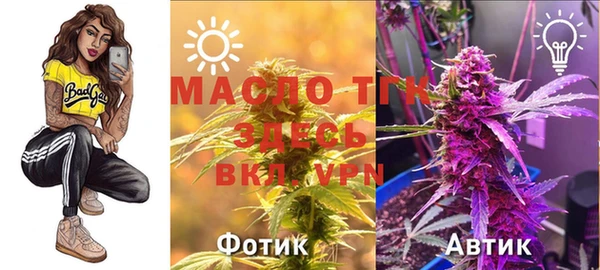 прущая мука Арсеньев