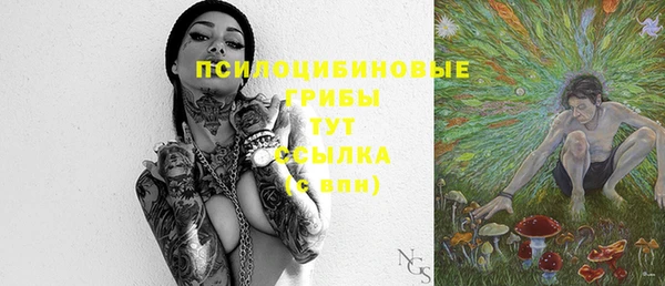 бутират Баксан