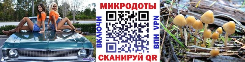Псилоцибиновые грибы Psilocybine cubensis  купить наркоту  Кизел 